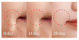 Маска тканинна для обличчя Veze sea anti-wrinkl антивікова, проти зморщок і в'ялості 25 g, фото 3