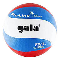 Мяч волейбольный Pro-Line Gala BV5591S №5, Lala.in.ua