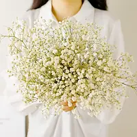 Букет Натуральных Сушениц Гипсофилы, Стабилизированные цветы Beaflo молочного цвета