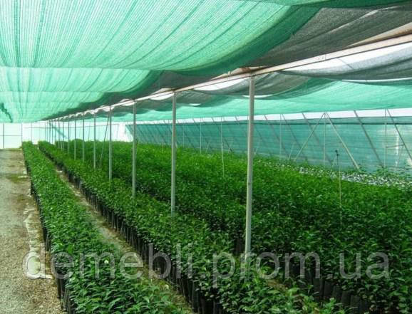Купить Затеняющая сетка от солнца 85 % затенения 3 х 5 м садовая ...