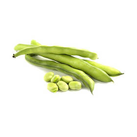 Насіння бобів