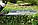 Einhell Кусторіз акум GE-CH 1855/1 Li - Solo, 18В, PXC, 550 мм, 2.44 кг (без АКБ і ЗП) (3410502), фото 4