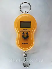 Весы электронные 50 кг kanter 603L 50 kg