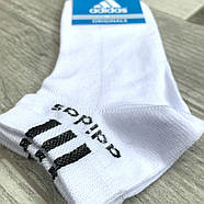 Шкарпетки чоловічі спортивні бавовна з сіткою короткі Adidas, Туреччина, розмір 41-45, асорті, 12659, фото 2