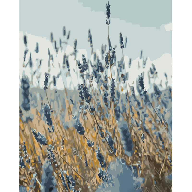 Картина за номерами Strateg Польові квіти розміром 40х50 см (GS923) melmil