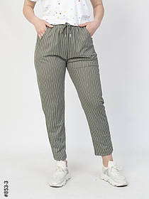 853-3 Штани жіночі в полоску напівбатал (6 од: 31-36)