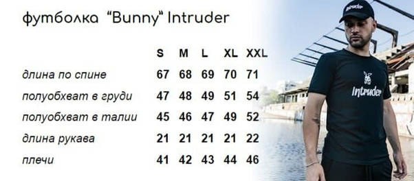Футболка Intruder 'Bunny' сіра, фото 3