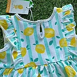 Бавовняна сукня на дівчинку Розмір 12-18 міс. 80 см, фото 4