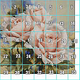 (Електронна)Схема для вишивання хрестиком або петитом: "Ніжність троянд", фото 3