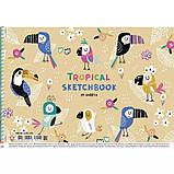 Альбом для малювання "Star" А4/20арк. спіраль, 100г/м2, фото 3