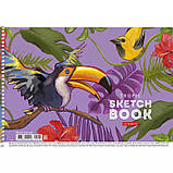 Альбом для малювання "Star" А4/20арк. спіраль, 100г/м2, фото 4