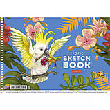 Альбом для малювання "Star" А4/20арк. спіраль, 100г/м2, фото 8