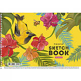 Альбом для малювання "Star" А4/20арк. спіраль, 100г/м2, фото 6