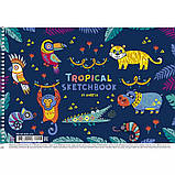 Альбом для малювання "Star" А4/20арк. спіраль, 100г/м2, фото 9