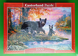 Пазли 1000 шт 68*47 см. Місце для риболовлі. Castorland