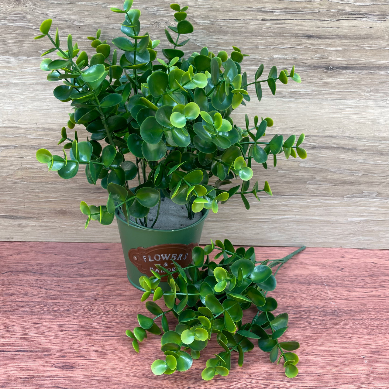 Букет Евкаліпт пластик 34 см, фото 1