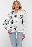 Сорочка жіноча Кітті, фото 2