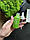 Зволожуюча сироватка з зеленим чаєм OneSpring Green Tea Moisturizing Essence, фото 4