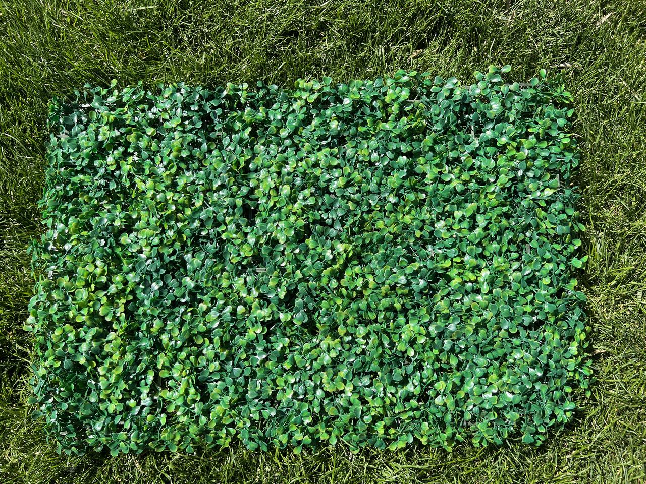Штучний газон килимок "Самшит" 60х40 см. Висота 4 см