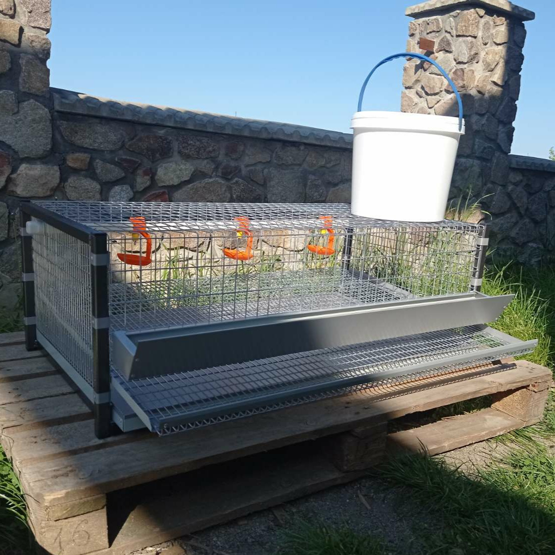 Клітка для утримання перепілок 30 гол, фото 1