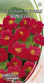 Настурція махрова Вишенька 1,5 р. НУ