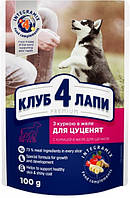 Вологий корм для собак в желе&nbsp;Club 4 Paws Premium pouch 100 г (курка)