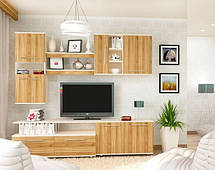 Вітальня "ВЕГА"