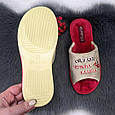 Тапочки жіночі Белста бежеві з червоним велюрові відкритий носок 4148, фото 4