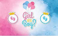 Плакат для свята Boy or Girl, 75х120 см.