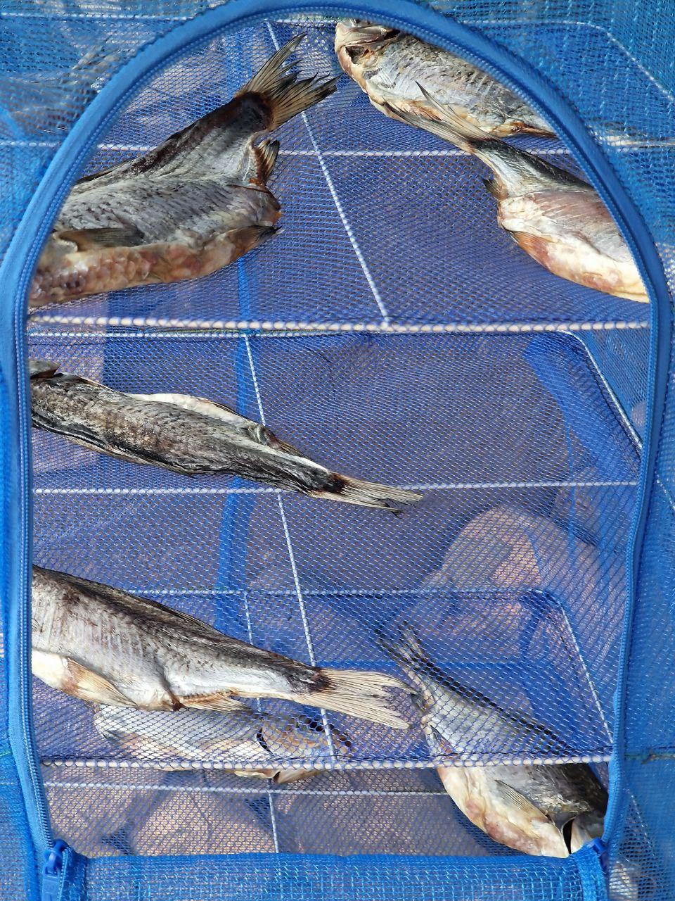 Складная сушилка для рыбы 50х50х65см - фото 7 - id-p1455493577
