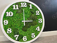 Часы со мхом, Настенные часы из дерева и стабилизированного мха, Эко Декор, Мох, Подарки