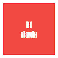 B1 (тіамін)