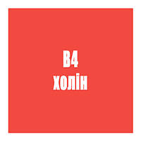 B4 (холін)