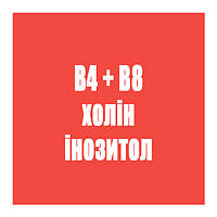 B4 (холін) + B8 (інозитол)