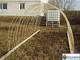 Теплиці та парники з композитної арматури Polyarm (buuba) Ø 6 мм, фото 2