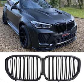 Решітка ноздрі для BMW (БМВ) X5 series G05 (2018-...) Матова 2 ребра