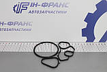 Прокладка масляного радіатора Citroen/ Peugeot 1.6VTi/ THP 2009р-, фото 3