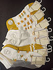 Шкарпетки жіночі з сіточкою та бавовняною стопою кольорові ТМ Наталі 37-41