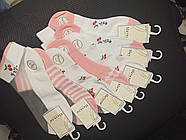 Жіночі шкарпетки мікросітка та бавовна кольорові ТМ Наталі