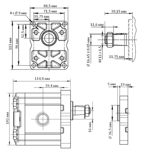 Розміри насосу MGP2K25R-G262G