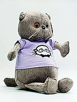 Мягкая игрушка Сонечко Котик Басик серый 30 см В Фиолетовой футболке M47440-3
