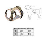 Шлейка для собак, фото 2