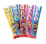 Фруктовий лід Sweet`n`Fun edition Paw Patrol Frezze Pops 500 g, фото 3
