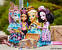 Monster High Draculaura DTV90 Лялька Монстр Хай Дракулаура Кораблекшення, фото 9