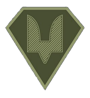 Шеврон Сили спеціальних операцій (ССО) польовий Шеврони на замовлення Військові шеврони на липучці патчі ЗСУ (AN-12-575-3)