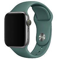Ремешок силиконовый Epik для Apple watch 42mm / 44mm Классический / Матовый / Зеленый / Pine green
