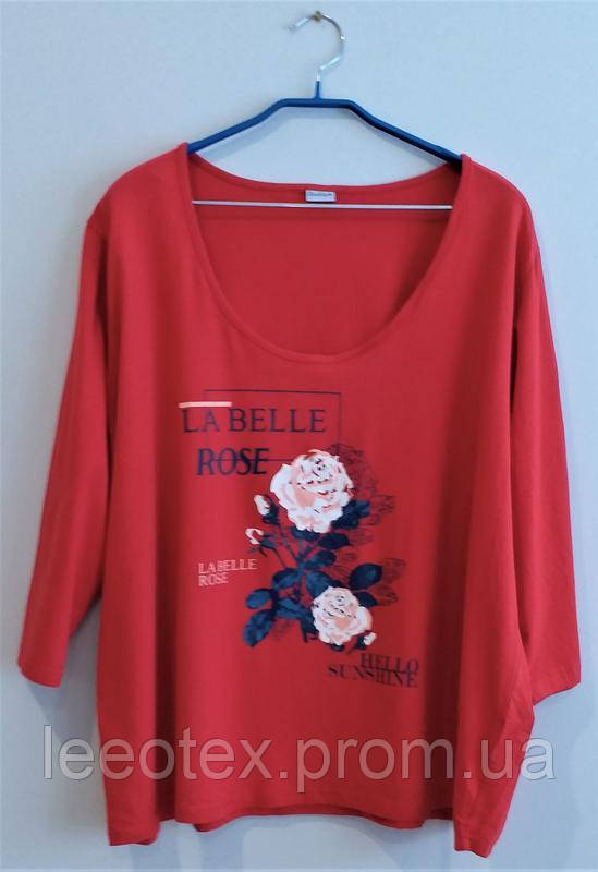 Лонгслив, футболка, реглан большого размера женская хлопковая от ...