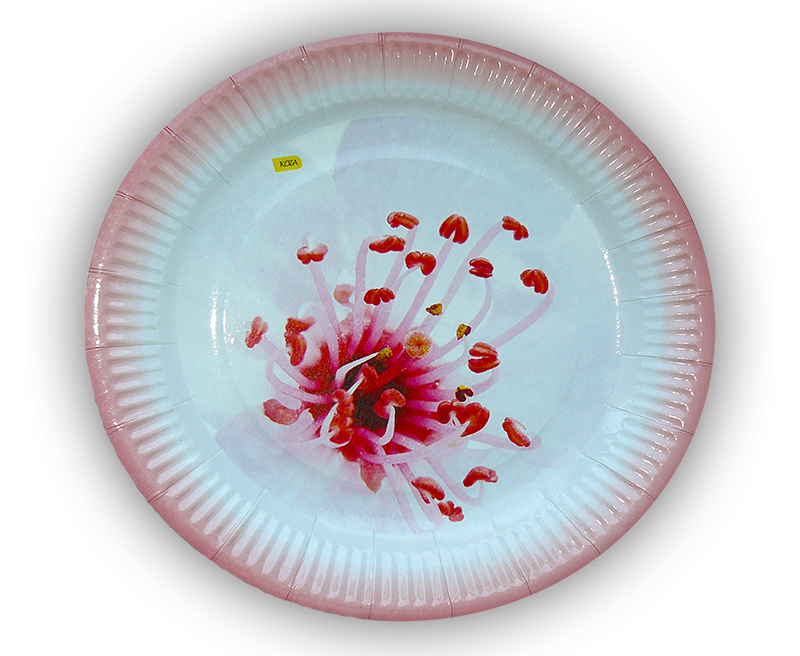 Паперові тарілки KOZA-Style "Квітка" 23см 10шт/уп
