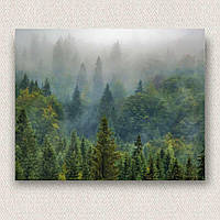 Интерьерная картина-постер на стену Лес в тумане 30*20 Оригами OP 5349 Маленькая