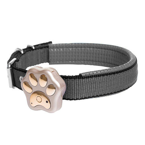 Купить GPS маячок для кошек и собак Smart GPS collar V30 (Золотой ...
